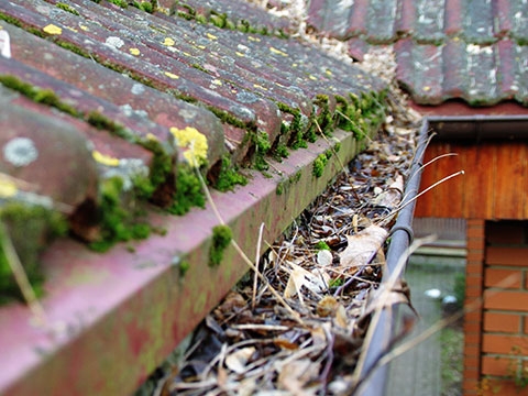 Gutter Clearance Cumbria