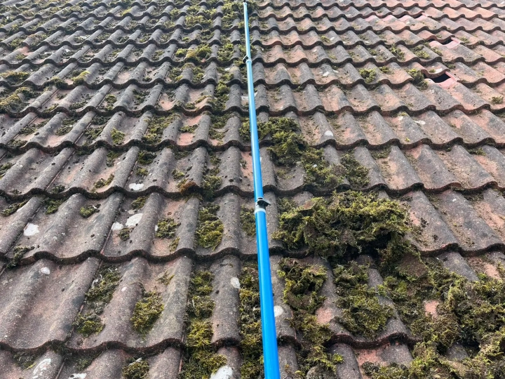 North England Roof Cleaning